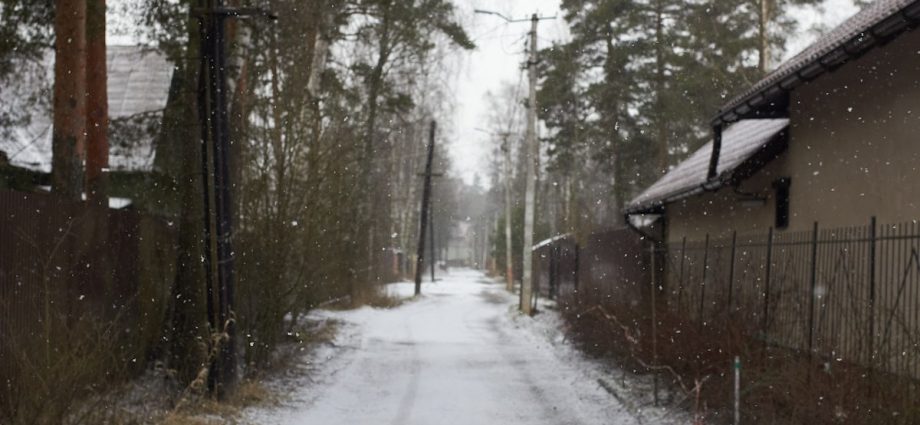 Snow covers a quiet road lined with trees.